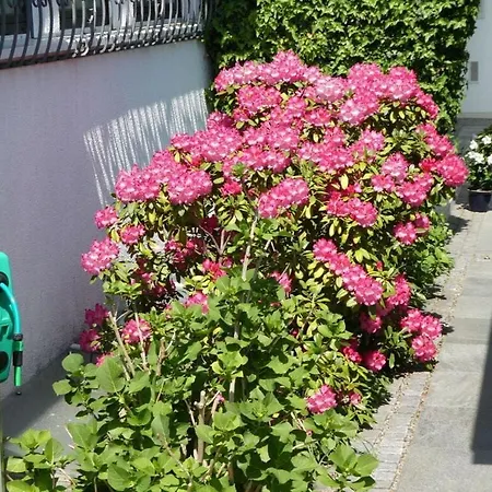 Hanssen In Constance
