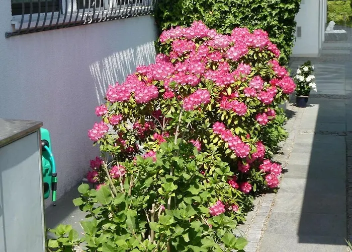 Hanssen In Constance